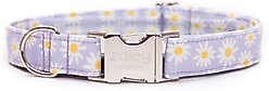 Zaley Designs Daisies Floral Cotton Dog Collar, Purple, Medium: 13 to 20-in neck, 1-in wide