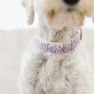 Show full view: Zaley Designs Lavender Purple Floral Cotton Dog Collar, Large: 15 to 25-in neck, 1-in wide slide 3 of 5