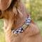 Show in main carousel: Zaley Designs Checkered Cotton Dog Collar, Black & White, X-Small: 8 to 12-in neck, 5/8-in wide slide 3 of 6