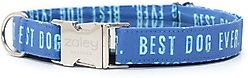 Zaley Designs Best Dog Ever Cotton Dog Collar, Blue, Small: 10 to 14-in neck, 3/4-in wide