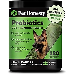Pet Honesty Probiotics Gut + Immune Health Pumpkin Flavored Soft Chews, Digestive Probiotic Supplement for Dogs, 180 count