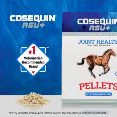 Show full view: Nutramax Cosequin ASU Plus with Glucosamine, Chondroitin, MSM, ASU, ALA, & Hyaluronic Acid Pellets Joint Health Supplement for Horses, 1050-g slide 5 of 9