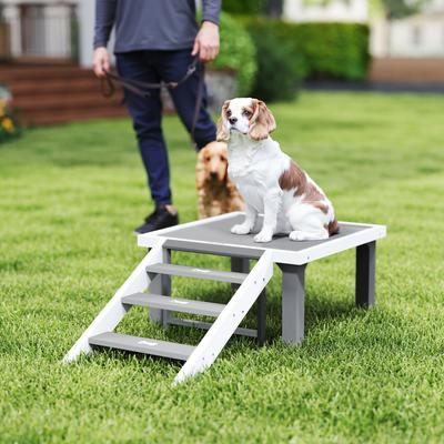 Show full view: PawHut Wooden Dog Training Platform with Ladder slide 3 of 11