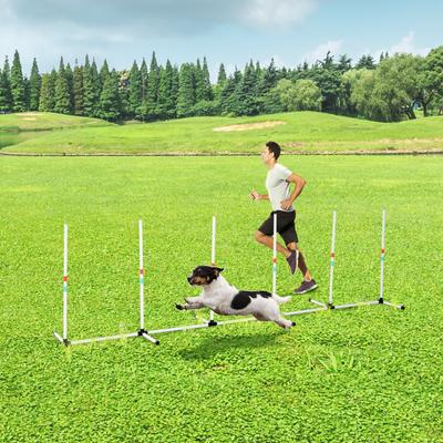 Show full view: PawHut Adjustable Weave Poles Dog Agility Training Obstacle Set slide 2 of 9