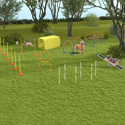 Show full view: PawHut Outdoor 4 Piece Dog Agility Training Course, Blue slide 9 of 9