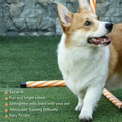 Show full view: PawHut 6 Piece Dog Agility Training Equipment slide 7 of 9