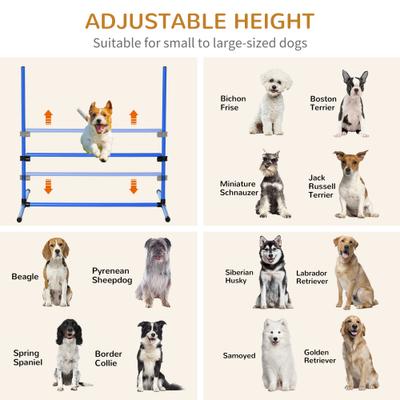Show full view: PawHut 4 Piece Dog Agility Starter Kit slide 4 of 9