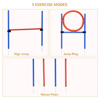 Show full view: PawHut Easy 3-Piece Dog Agility Training Equipment Set slide 4 of 9