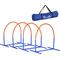 Show in main carousel: PawHut Outdoor 4 Piece Dog Agility Training Course, Blue slide 1 of 9