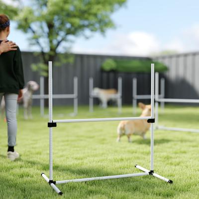 Show full view: PawHut 6 Piece Starter Kit Dog Agility Course, White slide 9 of 9