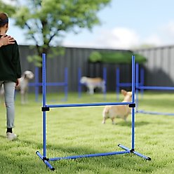 PawHut 6 Piece Starter Kit Dog Agility Course, Blue slide 2 of 9