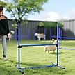 Show in main carousel: PawHut 6 Piece Starter Kit Dog Agility Course, Blue slide 9 of 9