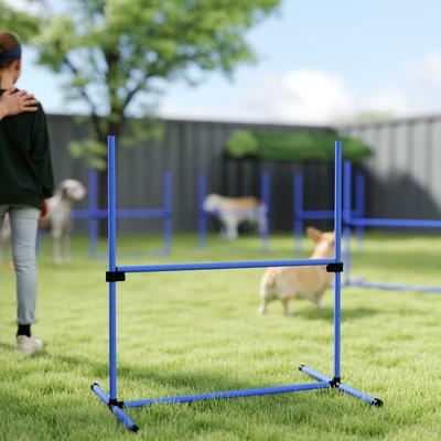 Show full view: PawHut 6 Piece Starter Kit Dog Agility Course, Blue slide 9 of 9