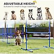 Show in main carousel: PawHut 6 Piece Starter Kit Dog Agility Course, Blue slide 4 of 9