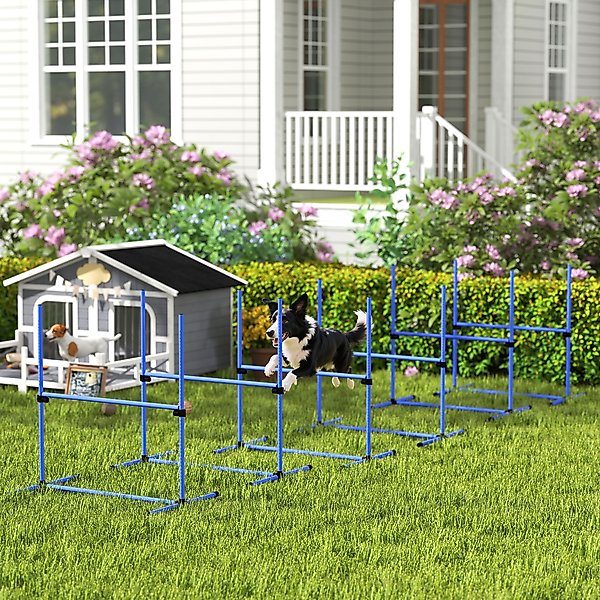 Show full view: PawHut 6 Piece Starter Kit Dog Agility Course, Blue slide 2 of 9