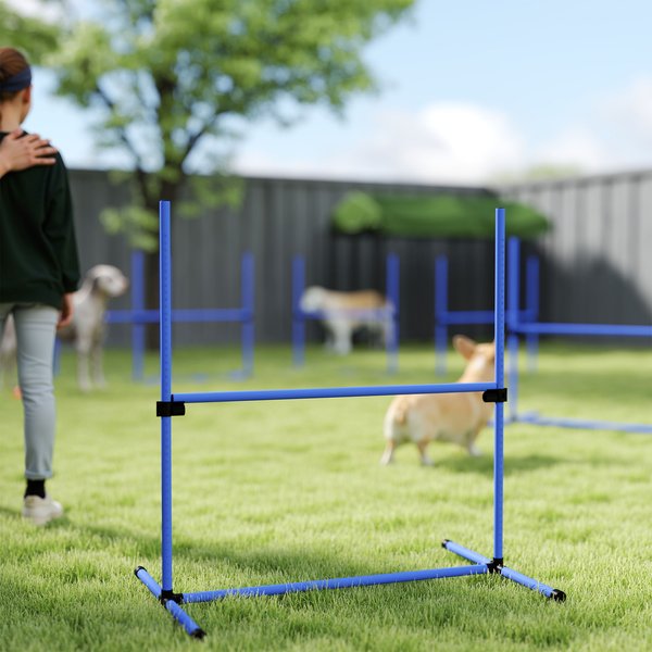 PawHut 8 Piece Dog Agility Training Equipment Course