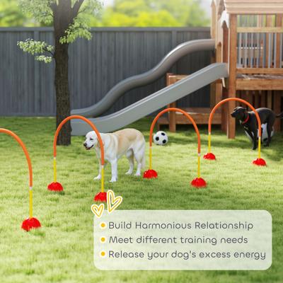 Show full view: PawHut 4 Piece Backyard Dog Agility Course, Orange slide 7 of 9