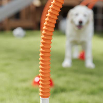 Show full view: PawHut 4 Piece Backyard Dog Agility Course, Orange slide 8 of 9