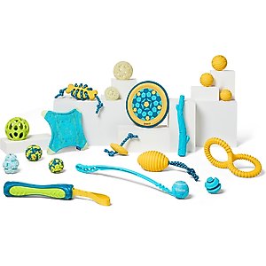 Frisco Fetch Ball Launcher with Squeaky Tennis Ball Dog Toy, Medium