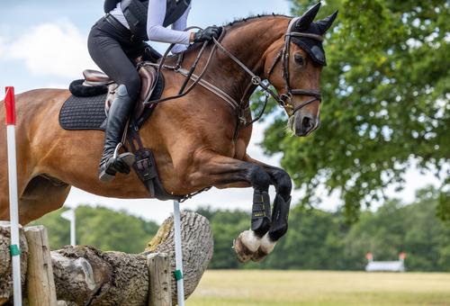 Show full view: LeMieux MIMsafe XC Horse Boot Front, Black, Large slide 9 of 9