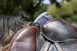 LeMieux Horse D-Ring Extender, Black, 2 count slide 2 of 3