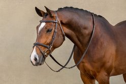 LeMieux Kudos Work Horse Bridle, Brown, Full slide 2 of 5