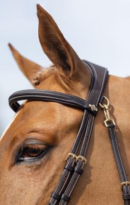 Show full view: LeMieux Kudos Work Horse Bridle, Brown, Cob slide 2 of 5