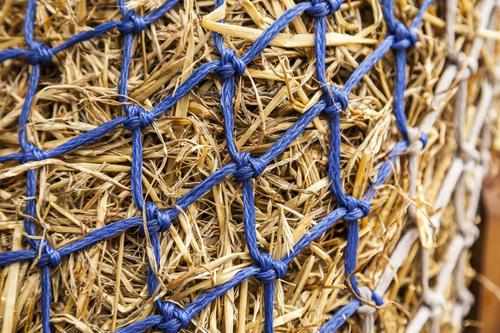 Show full view: LeMieux Hippo Horse Haynet, Navy slide 7 of 9