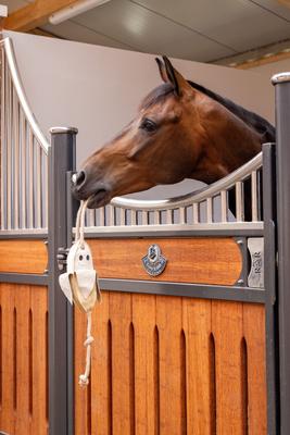 Show full view: LeMieux Horse Toy Banana, Banana slide 2 of 3