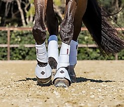 LeMieux ProShell Over Reach Horse Boots, White, X-Large, 2 count slide 2 of 5