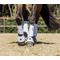 Show in main carousel: LeMieux ProShell Over Reach Horse Boots, White, Medium, 2 count slide 5 of 5