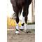 Show in main carousel: LeMieux ProShell Over Reach Horse Boots, White, Medium, 2 count slide 3 of 5