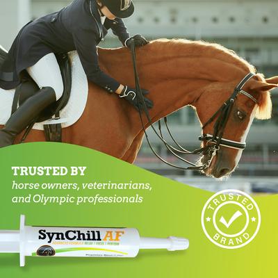Show full view: SynNutra Equine SynChill AF Calming Gel slide 4 of 5