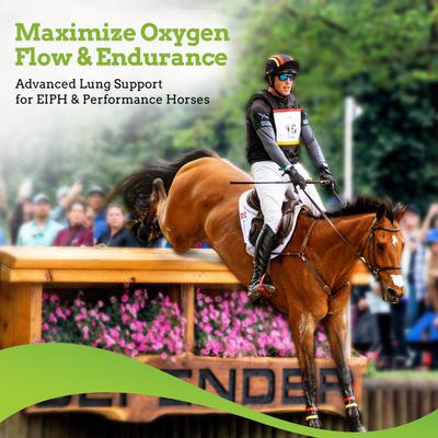 Show full view: SynNutra Equine SynAir Lower Airway Horse Supplement, 30 Servings slide 8 of 8