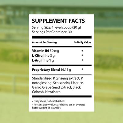 Show full view: SynNutra Equine SynAir Lower Airway Horse Supplement, 30 Servings slide 6 of 8