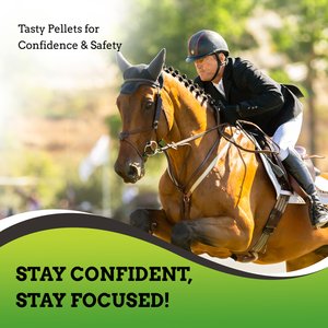 SynNutra Equine SynChill Daily Calming Pellets Horse Supplement, 30 Servings