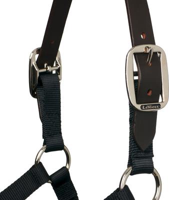 Show full view: LeMieux Break Away Horse Headcollar, Black, Full slide 3 of 9