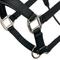 Show in main carousel: LeMieux Break Away Horse Headcollar, Black, Full slide 4 of 9