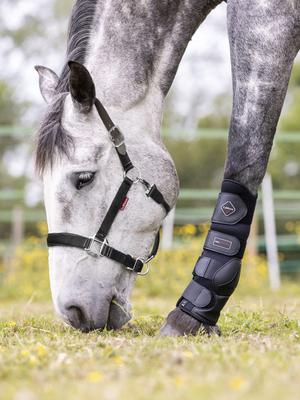 Show full view: LeMieux Break Away Horse Headcollar, Black, Full slide 8 of 9