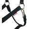 Show in main carousel: LeMieux Break Away Horse Headcollar, Black, Full slide 5 of 9