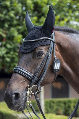 Show full view: LeMieux Horse Bridle Number Holder, Diamante Black slide 2 of 2