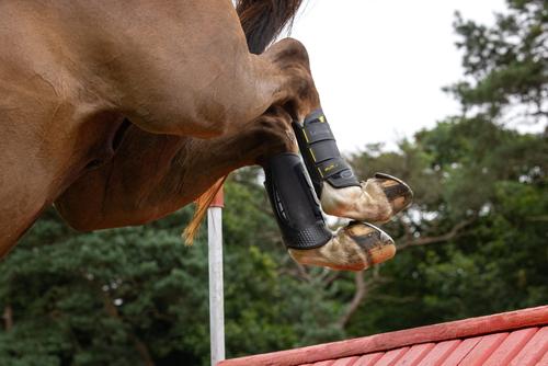 Show full view: LeMieux MIMsafe XC Horse Boot Hind, Black, Large slide 8 of 9