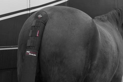 Show full view: LeMieux Horse Tail Guard with Bag, Black slide 4 of 4