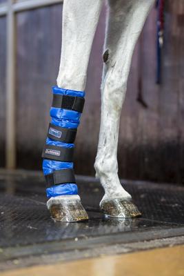Show full view: LeMieux Arctic Ice Horse Boot, Blue, 2 count slide 3 of 4