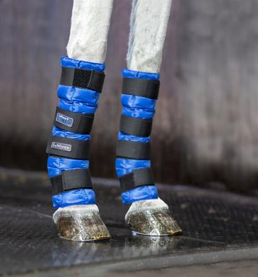 Show full view: LeMieux Arctic Ice Horse Boot, Blue, 2 count slide 4 of 4