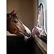Show in main carousel: LeMieux Horse Toy Flying Pig, Flying Pig slide 3 of 4