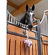 Show in main carousel: LeMieux Horse Toy Flying Pig, Flying Pig slide 4 of 4
