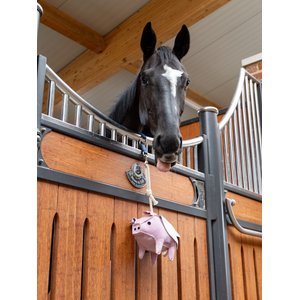 LeMieux Horse Toy Flying Pig, Flying Pig