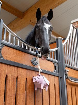 Show full view: LeMieux Horse Toy Flying Pig, Flying Pig slide 4 of 5