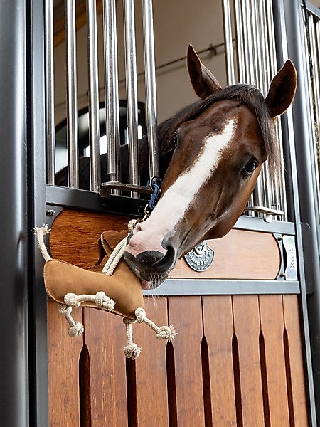 Show full view: LeMieux Horse Toy Sausage Dog, Sausage Dog slide 4 of 4
